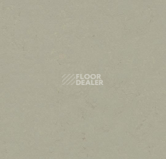 Линолеум Forbo Marmoleum Decibel on Order 372435 orbit фото 1 | FLOORDEALER